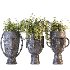 Concrete Pot Plant Set 04 - Thumbnail 4