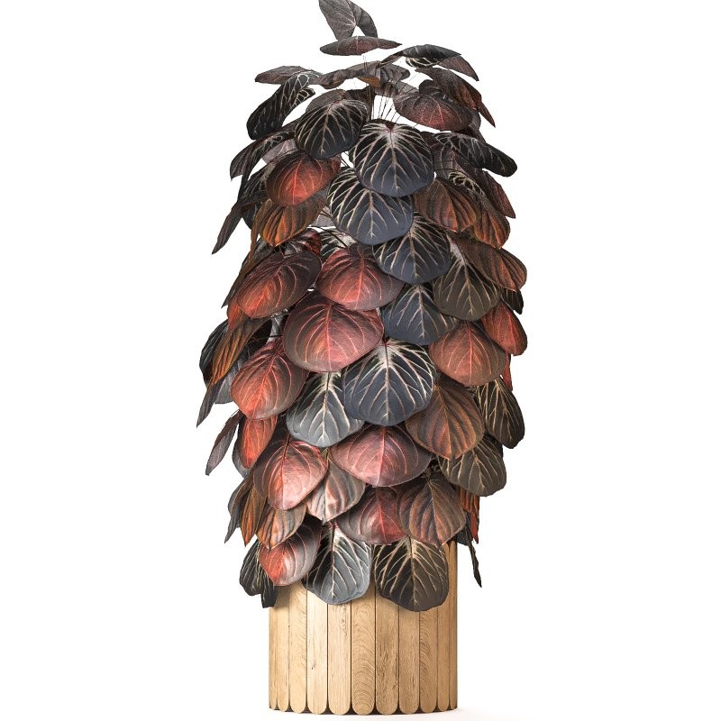 Boho Pot Plants 02 - Image 2