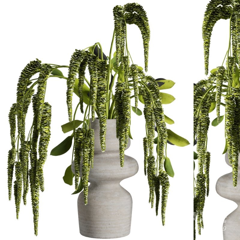 Bouquet set 56 - Image 2