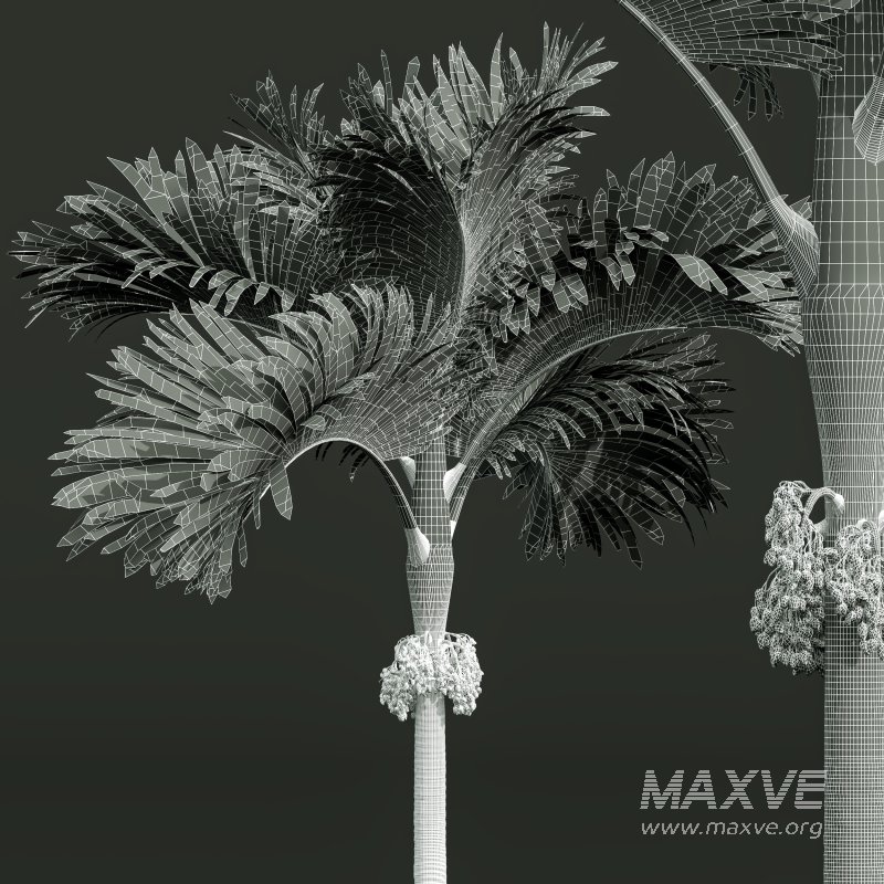 ntal compositions. - Image 11