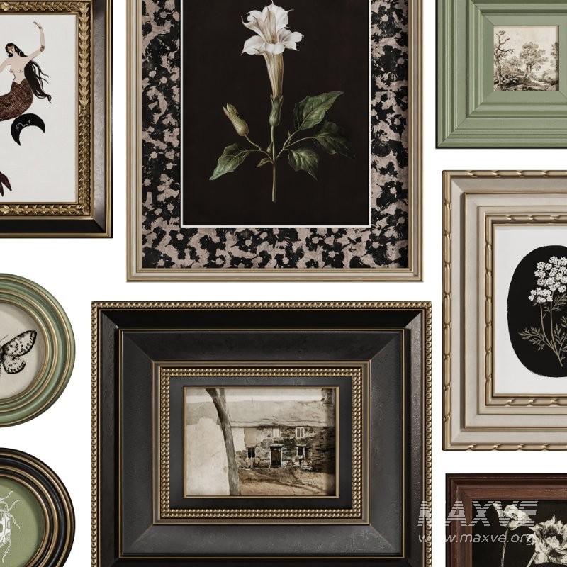 Vintage Curiosity Wall Set 002 - Image 3