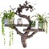 Wooden Shelf Planter - Thumbnail 2