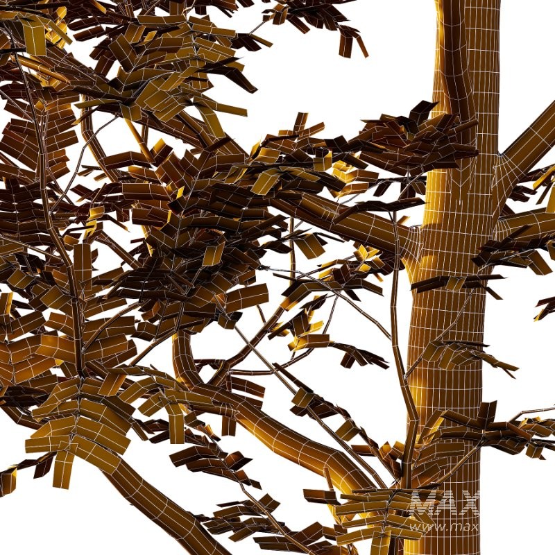 Rowan tree 01 - Image 3