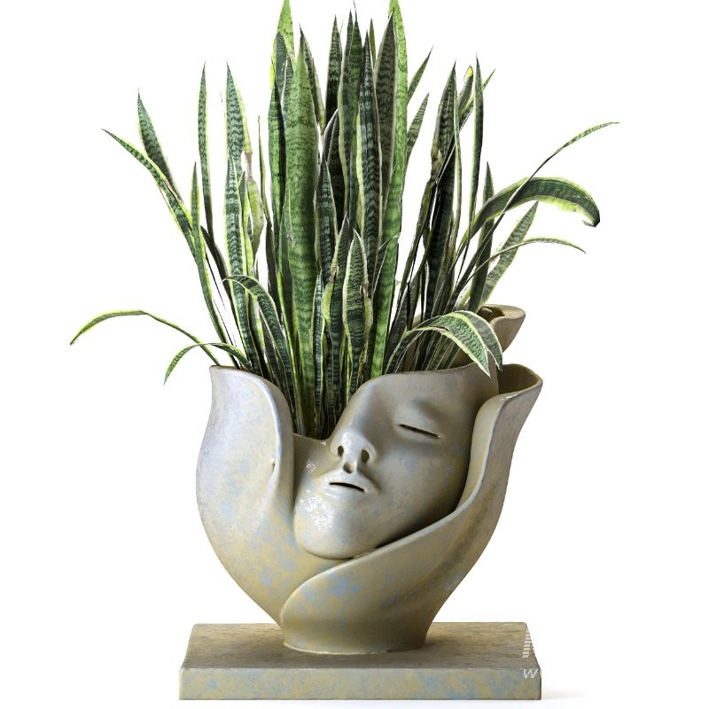 Concrete Pot Plant Set 06 - Image 3