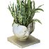 Concrete Pot Plant Set 06 - Thumbnail 1