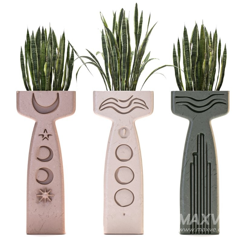 Concrete Pot Plant Set 03 - Image 4