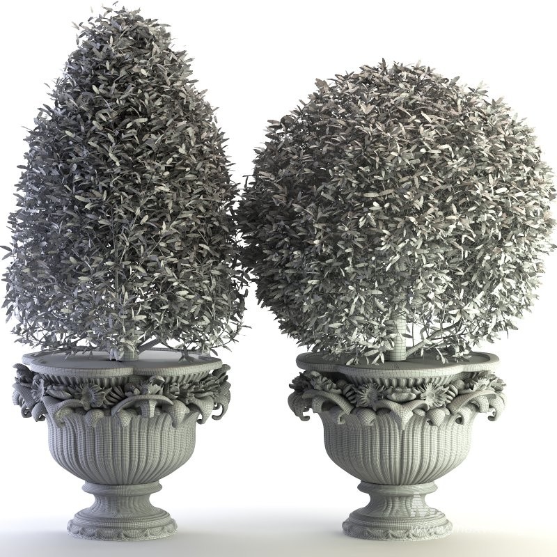 Outdoor Plant 02 - Image 1