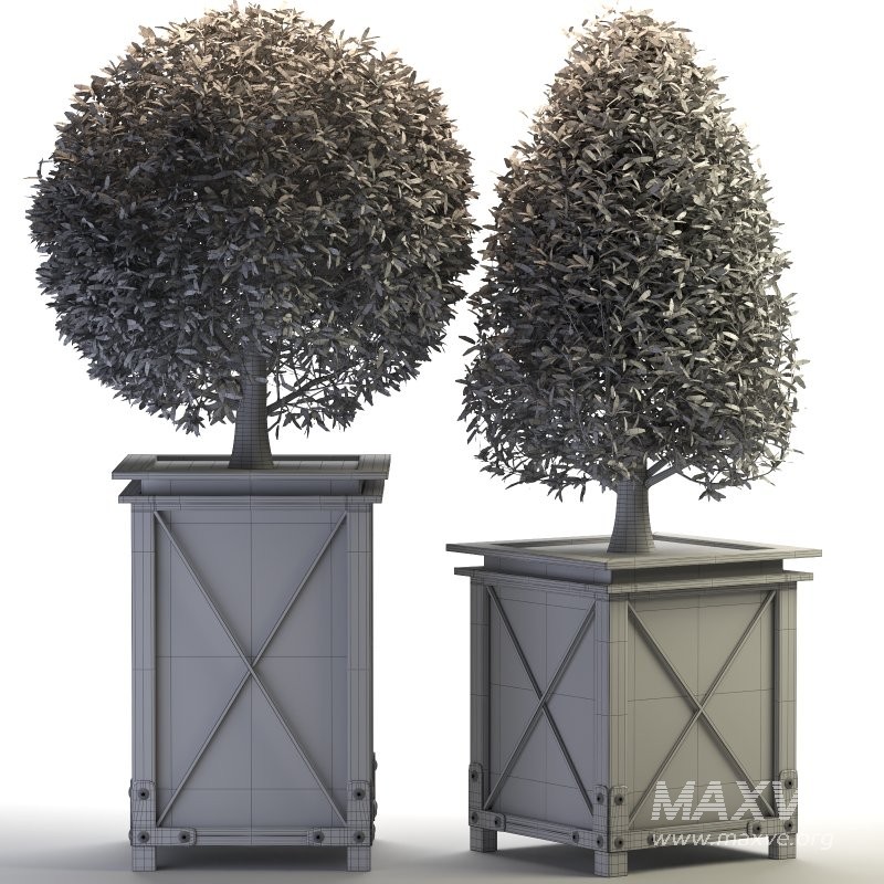 Outdoor Plant 01 - Image 2