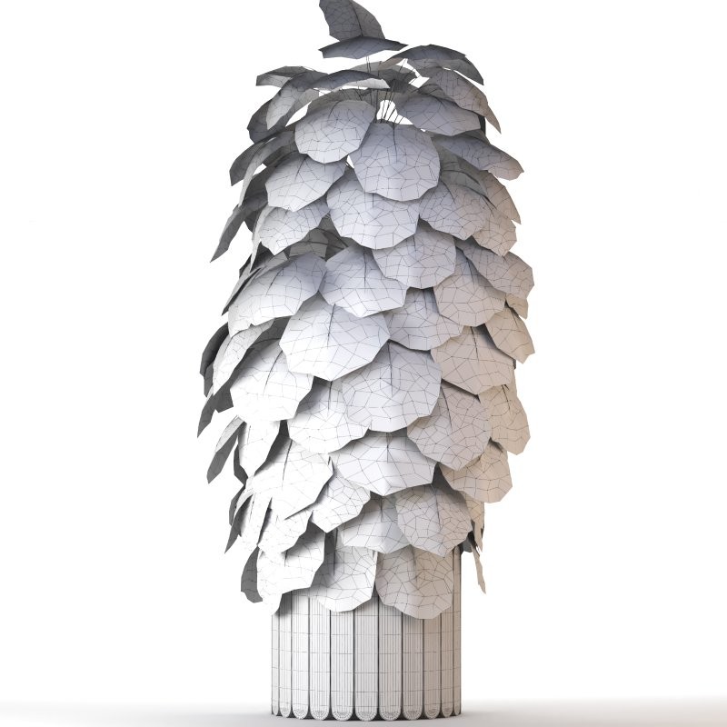 Boho Pot Plants 02 - Image 1