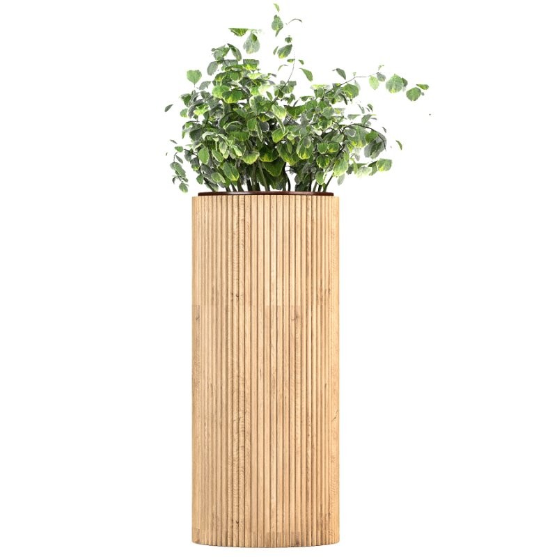 Boho Pot Plants - Image 1