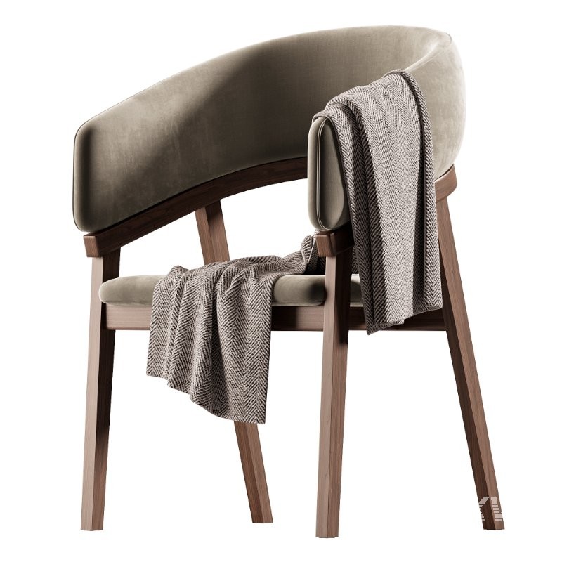 Modrest Truman – Mid-Century Modern Grey Walnut Dining Chair - Image 2