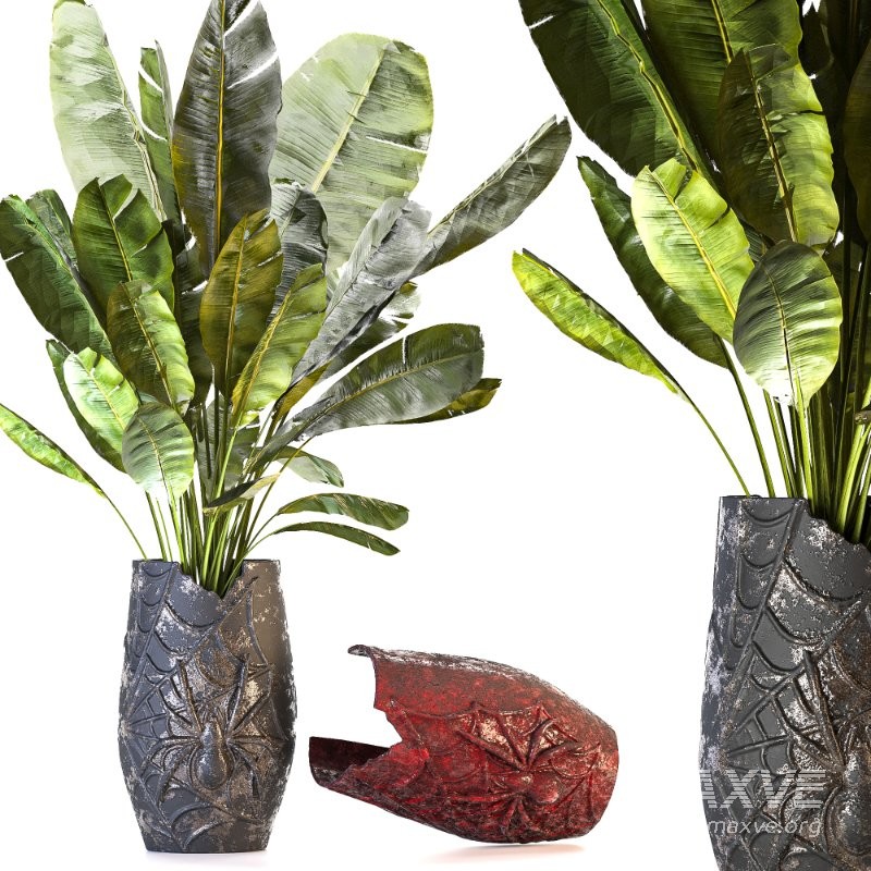 Concrete Pot Plant Set 05 - Image 3