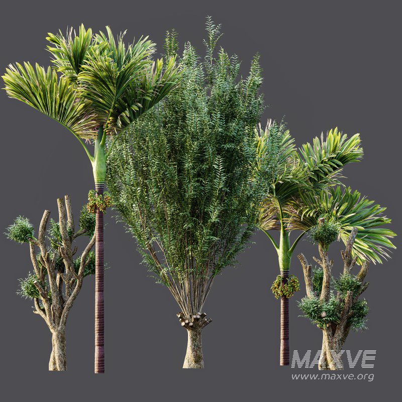 ntal compositions. - Image 8