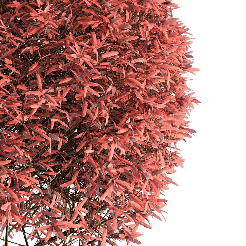 Outdoor Plant 02 - Image 2