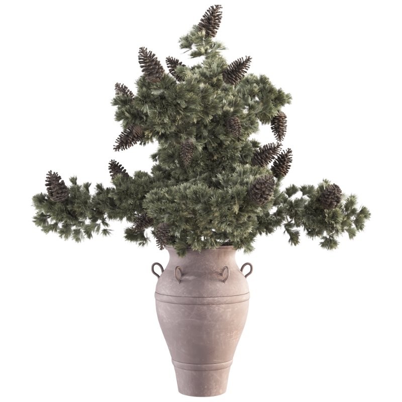 Bouquet of Pine Branches in Vase 47 - Image 1