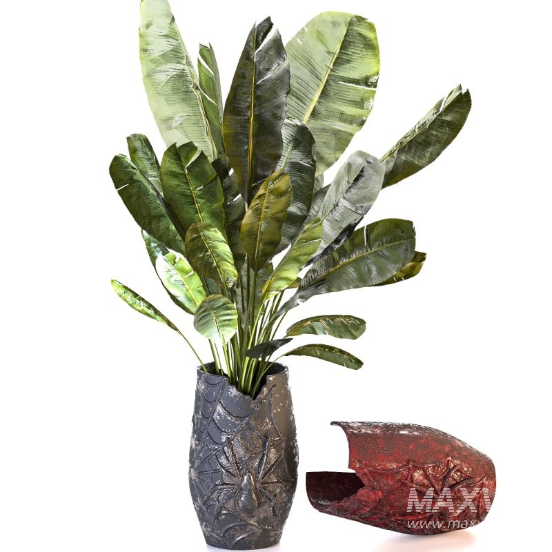 Concrete Pot Plant Set 05 - Image 2