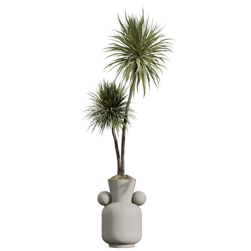 ntal structure of the Areca Palm — and from the glossy expressiveness of Ficus Elastica to the rich geometric rhythm of the ZZ Zamioculcas — each plant adds its own personality and visual depth. The collection is unified by carefully selected pots in warm, organic textures and contemporary silhouettes, making it ideal for living rooms, hotel lobbies, workspace interiors, galleries, cafes, and any project with a refined aesthetic direction. - Image 4