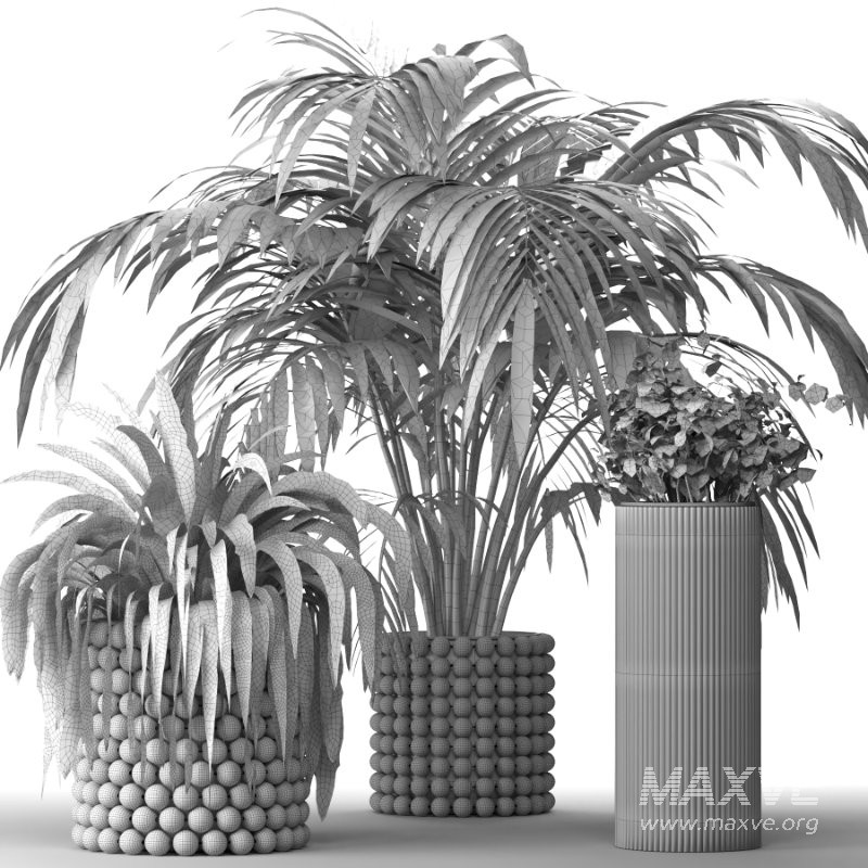 Boho Pot Plants - Image 2