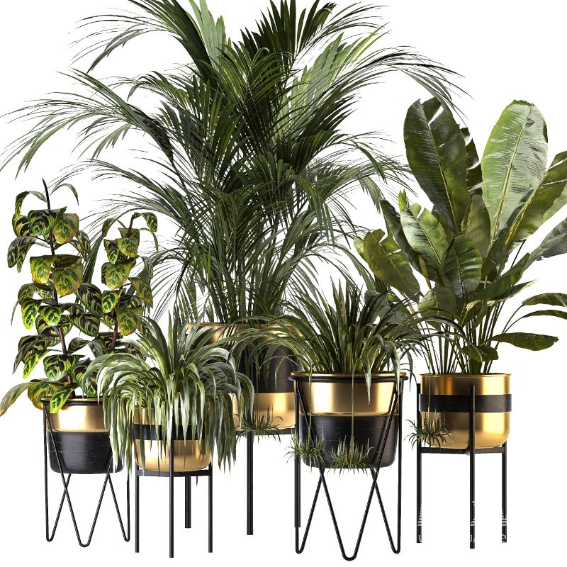 Metal Plant Set 08 - Image 4