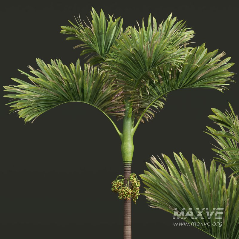 ntal compositions. - Image 1