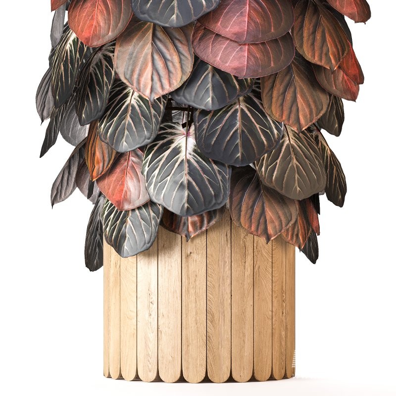 Boho Pot Plants 02 - Image 6