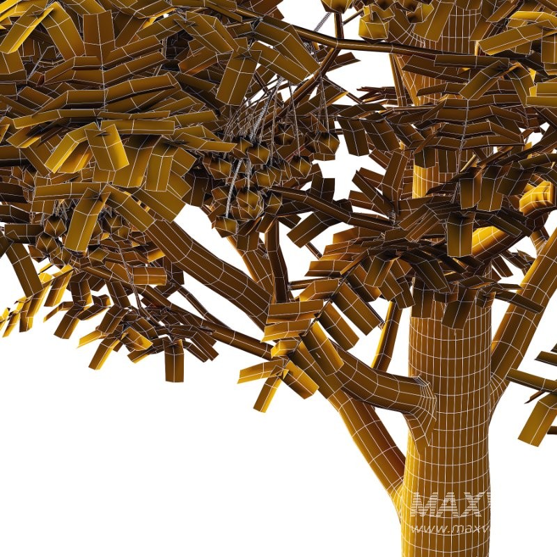 Rowan Fruit Tree 02 - Image 3