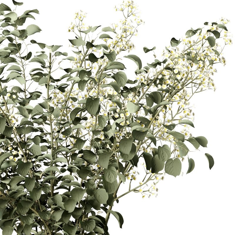 Bouquet R12 - Image 3