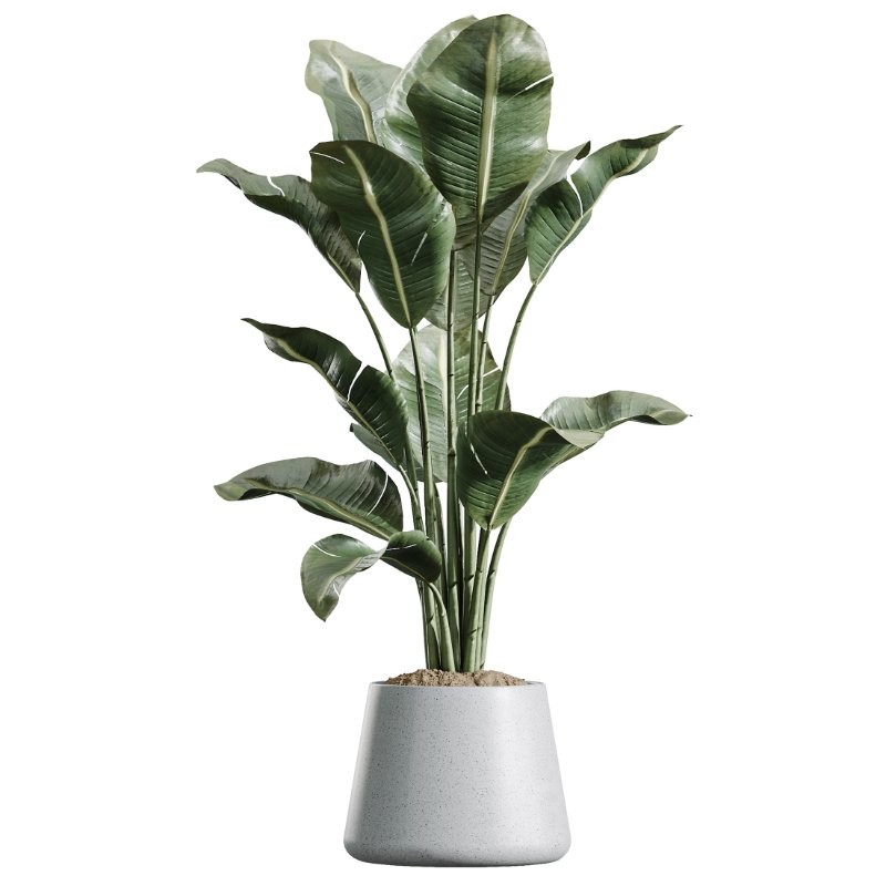 ntal forms, and vibrant fruit detail creates a balanced botanical palette perfect for contemporary homes, minimalist interiors, luxury offices, and commercial spaces. - Image 1