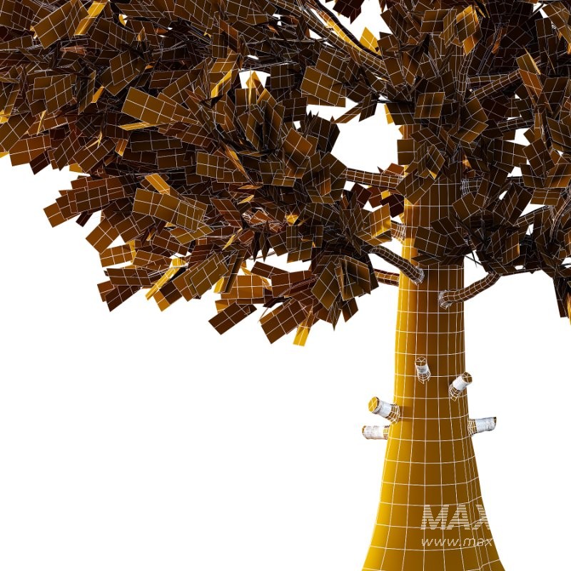 Eastern Red Cedar 01 - Image 5