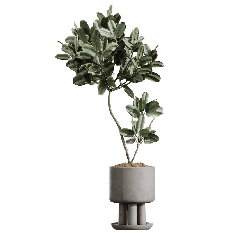 ntal indoor plants, crafted with exceptional realism and artistic balance. Each plant has been sculpted to capture its natural botanical character—from the bold, architectural leaves of the Ravenala Banana to the airy, branching elegance of Ficus Marginata, the rich waxy foliage of Rubber Ficus Elastica, and the clean vertical lines of Aspidistra Elatior. - Image 1