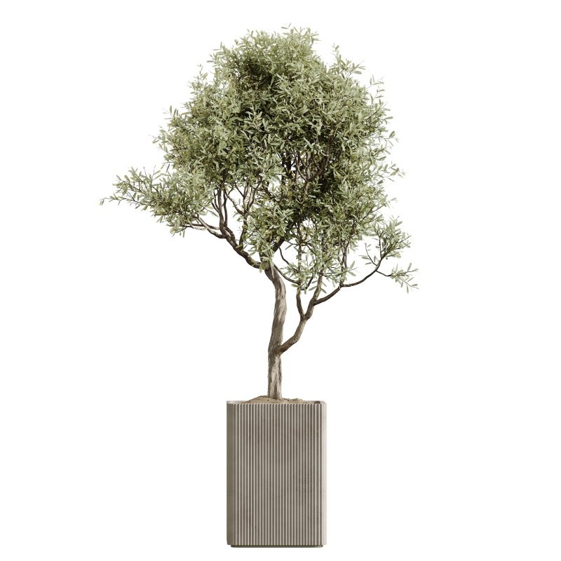 AV Indoor Plants Set 430 Eucalyptus Olive Banana Yucca Palm - Image 1