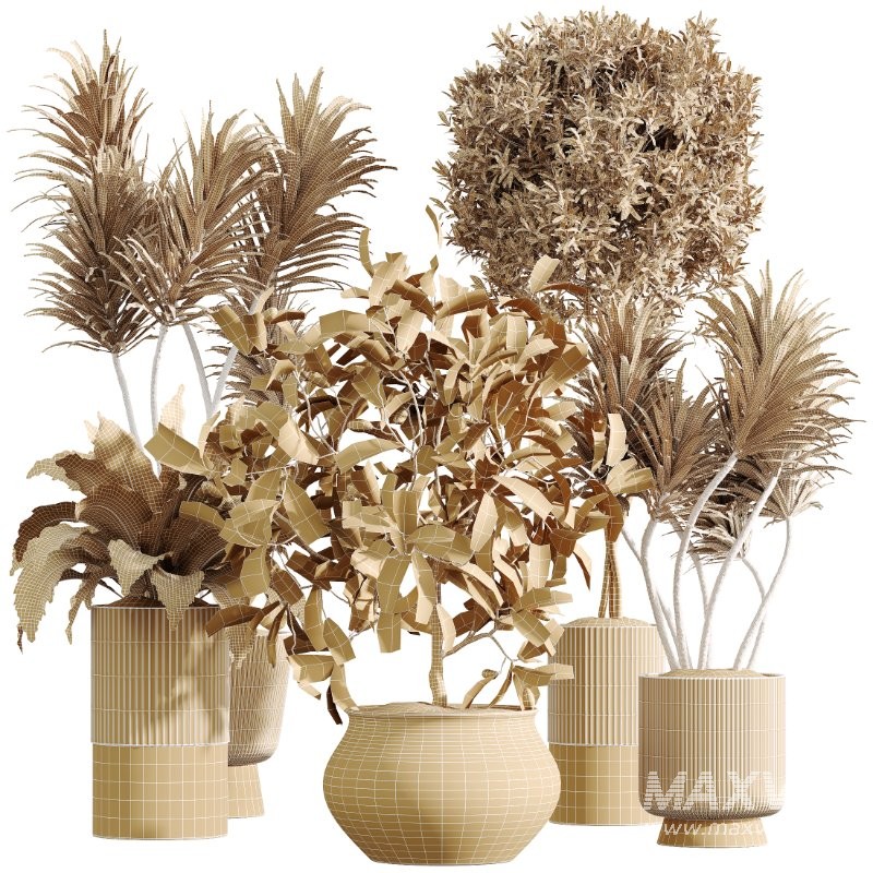 AV Indoor Plants Set 428 Yucca Spathiphyllum Briful Olive - Image 7