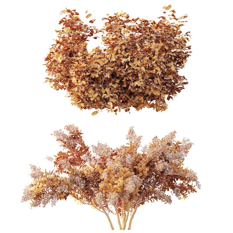 AV Spring bushes Myrtle White Flower and Cotinus coggygria - Image 10