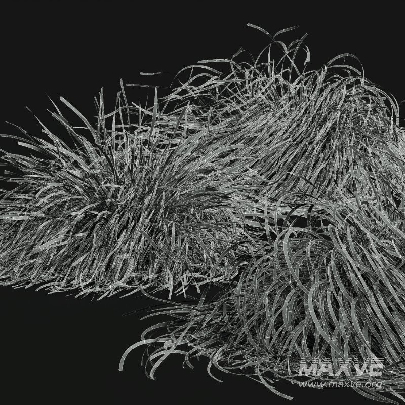 ntal grasses. These tufted, wind-swept grasses are modeled with exceptional care to capture their signature arching blades, airy volume, and subtle color variation ranging from warm yellow-greens to earthy bronze tones. - Image 13