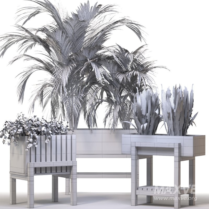 Plant Set 13 - Image 1