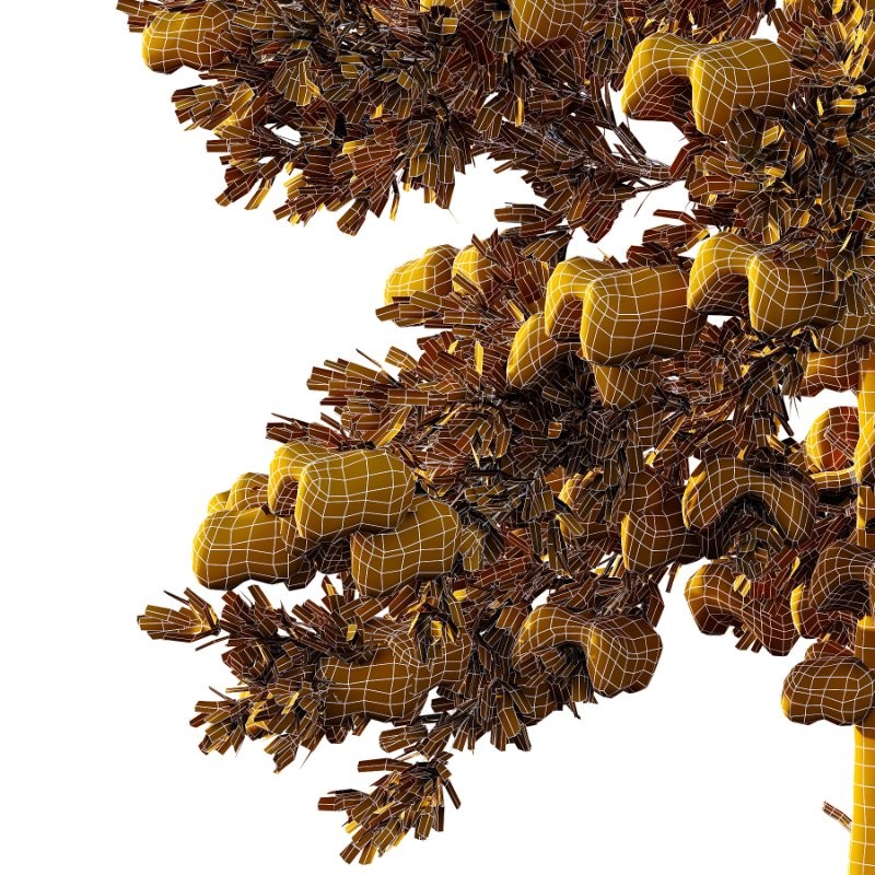 Douglas Fir Winter Tree 02 - Image 3