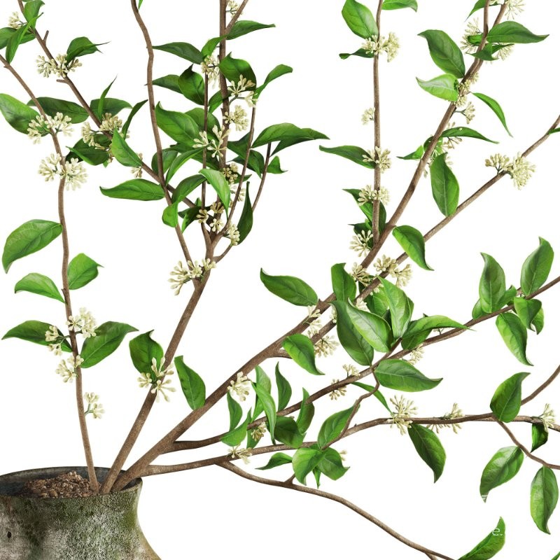 Blooming Twig Arrangement in Antique Pot - Image 5