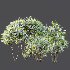 ntal accent plants. Each model is crafted with clean quad-based topology, natural proportions, and high-resolution 4K textures that bring clarity and authenticity to both close-up details and wide landscape shots. - Thumbnail 8