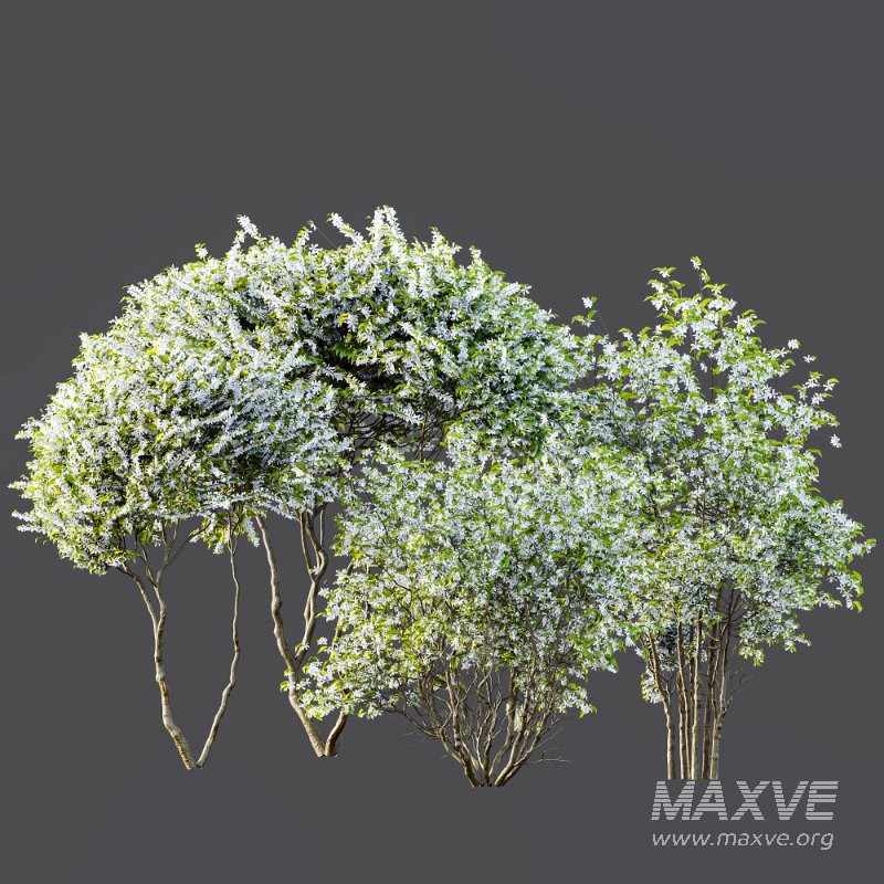 ntal accent plants. Each model is crafted with clean quad-based topology, natural proportions, and high-resolution 4K textures that bring clarity and authenticity to both close-up details and wide landscape shots. - Image 8