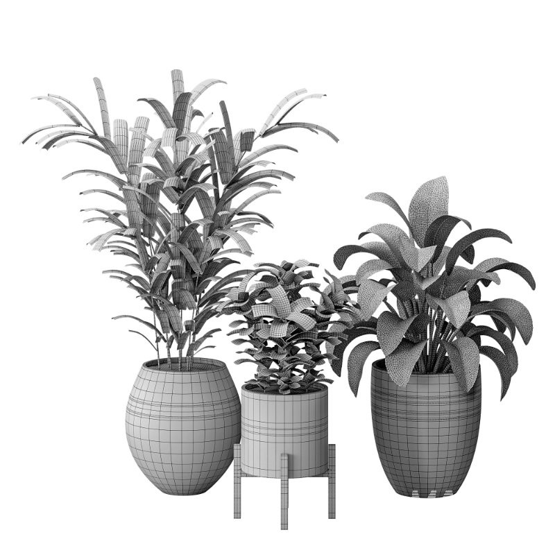 Bouquetofflowers in concrete vase - Image 9