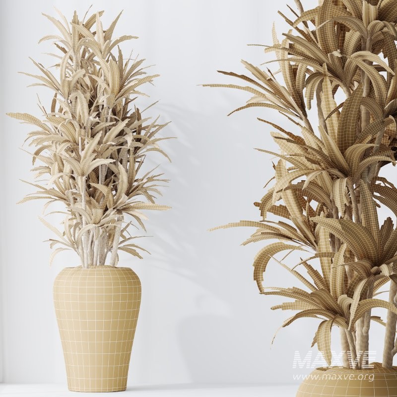 ntal tropical plants. Each model has been meticulously crafted to highlight the unique botanical identity of its species—from the lively fruit-bearing Calamondin Orange tree to the bold architectural leaves of Calathea Lutea, the delicate branching of Ficus Marginata, the lush vertical density of Areca Palm, and the dynamic linear foliage of Lemon Cane Dragon. - Image 9