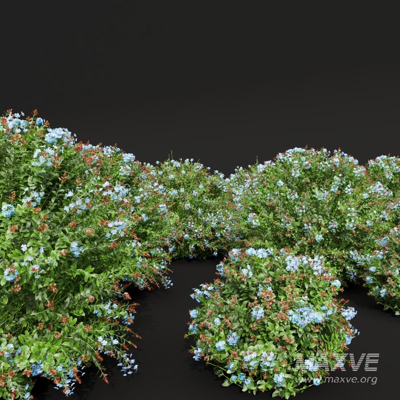 ntal shrubs bring color, texture, and natural density to gardens, parks, residential exteriors, and botanical visualizations. - Image 2