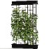 Room Divider Planter - Thumbnail 2