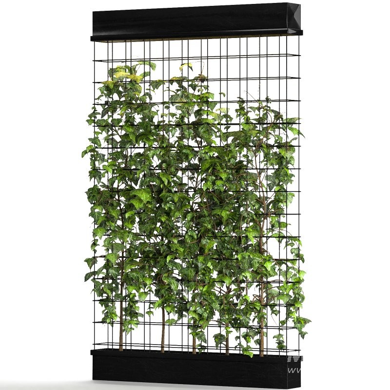 Room Divider Planter - Image 2