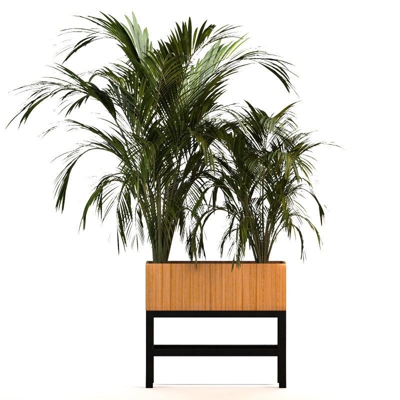 Plant Set 13 - Image 5