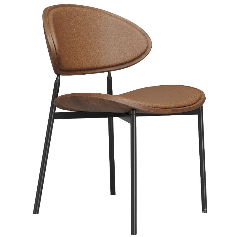 Lars Leather Dining Chairs - Image 2