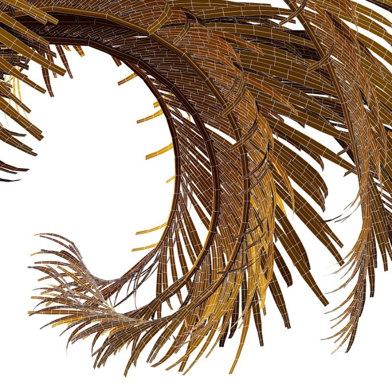 Curly Palm Tree 01 - Image 2