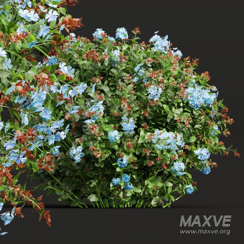 ntal shrubs bring color, texture, and natural density to gardens, parks, residential exteriors, and botanical visualizations. - Image 7
