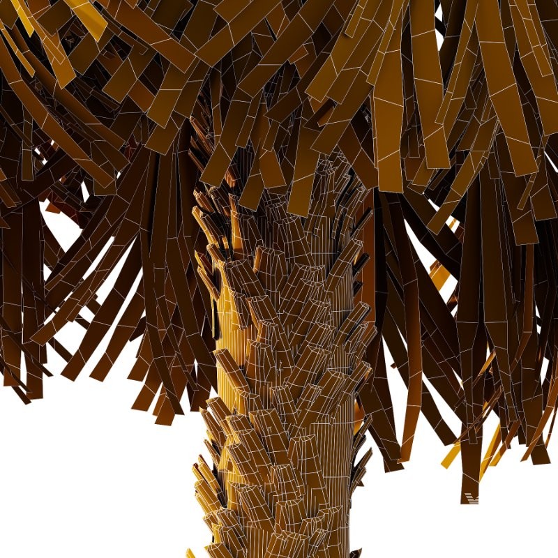 Washingtonia Robusta Palm Tree 01 - Image 2