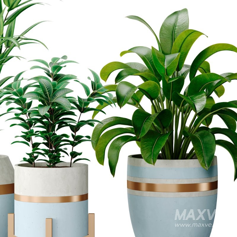 Bouquetofflowers in concrete vase - Image 3